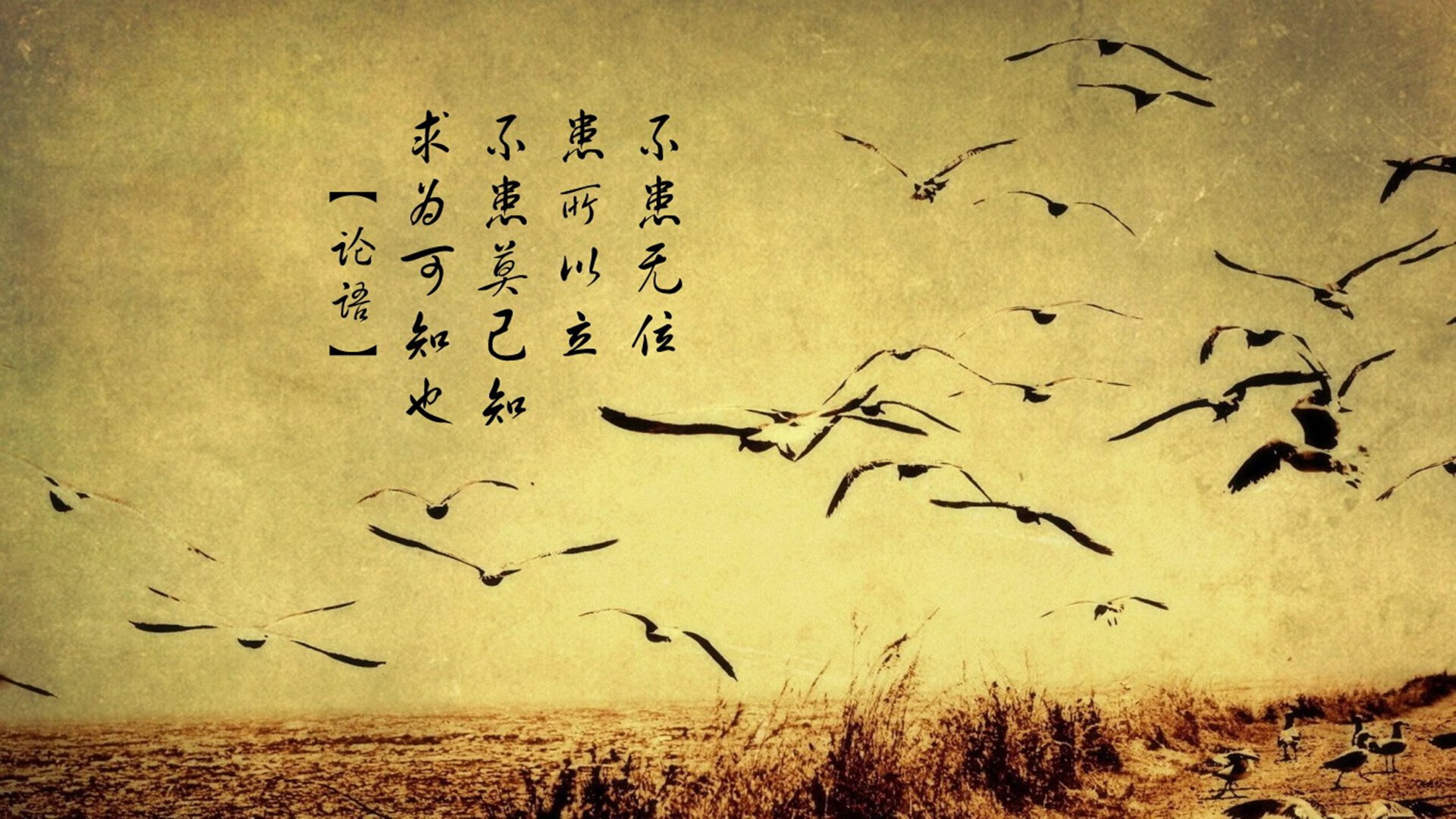 经典比赛：永恒的篮球神话时刻，篮球界的神话