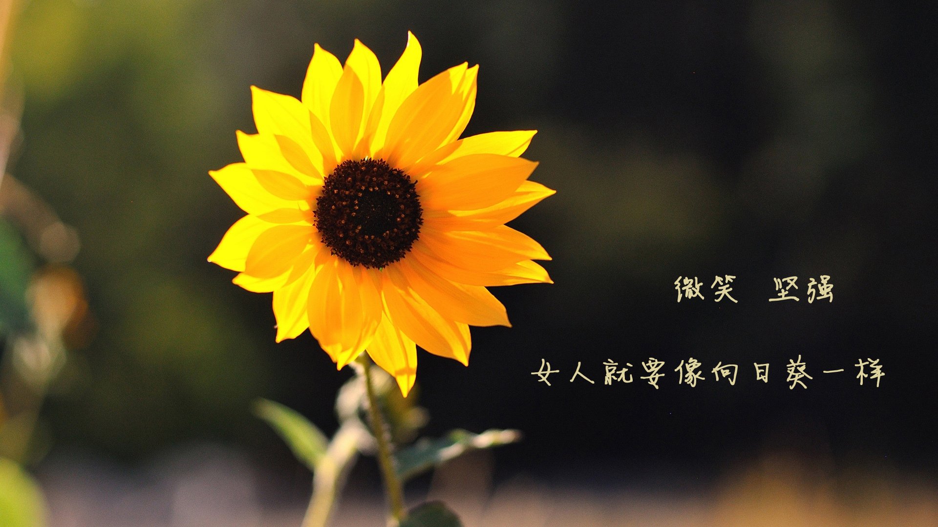 九游电脑版-赛季最火爆的外线投篮大赛，谁是“远距离王”？，线外投篮球叫什么