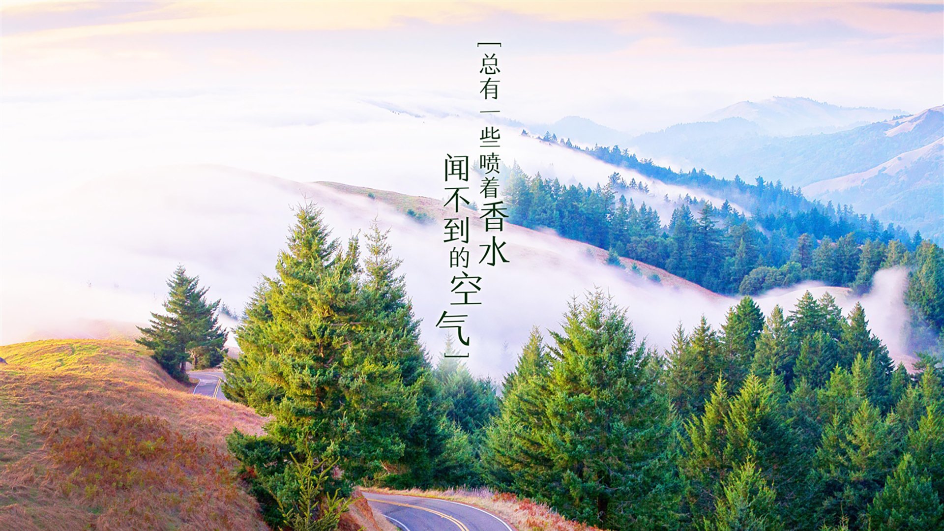 九游娱乐官网 (JIUYOU)-亚洲顶级俱乐部加强青训体系建设，亚洲俱乐部冠军联赛