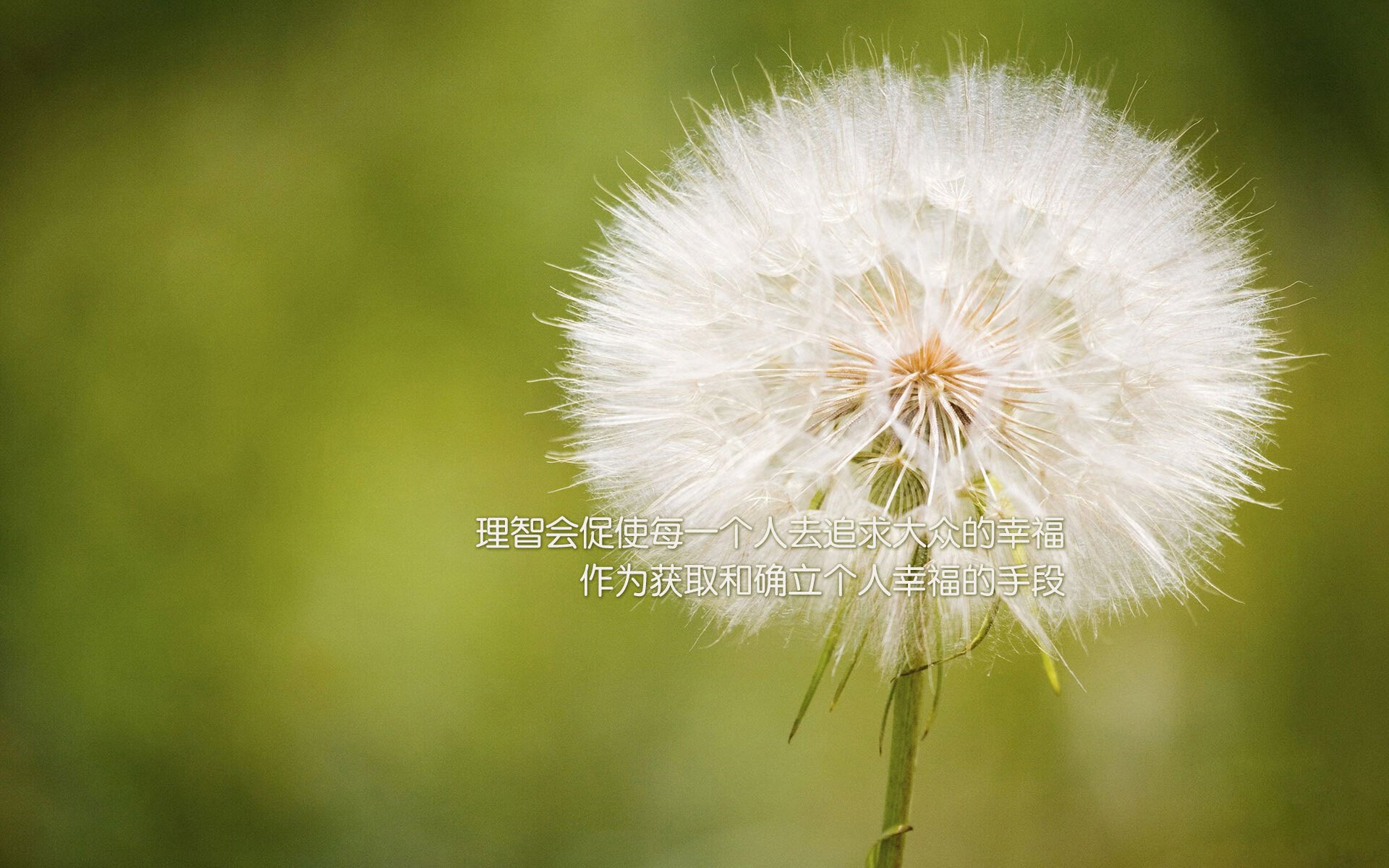 九游网-球员体能数据分析是否已成为训练常态，职业球员体能训练