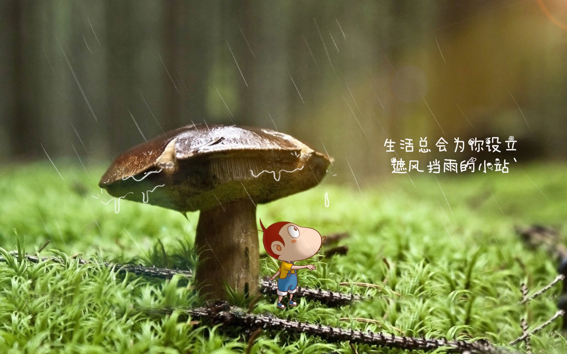 球员是否应代表联盟出席国际公益峰会，球员是否应代表联盟出席国际公益峰会