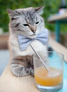 蔚山现代新援首秀亮眼，蔚山现代主力