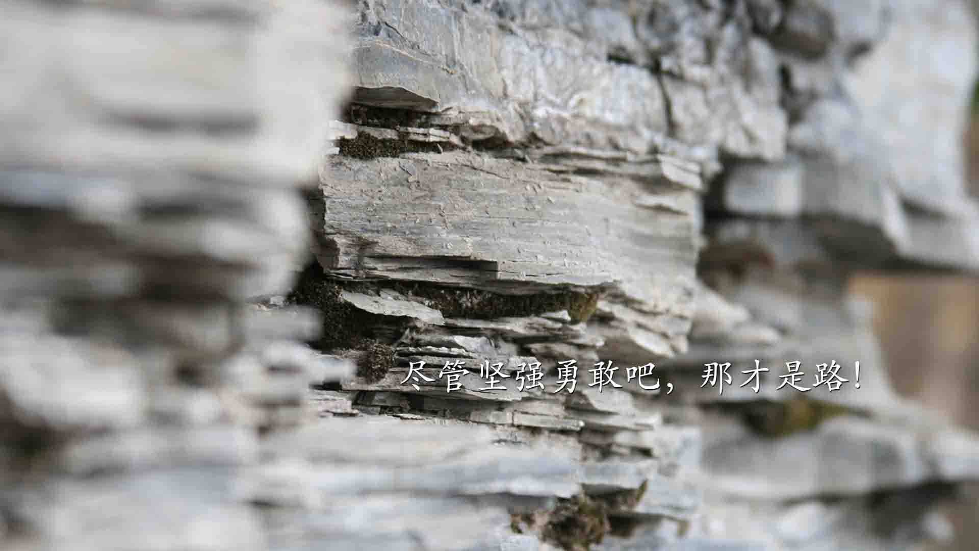 中超球队主教练风格匹配队伍战术分析，中超俱乐部主教练年薪