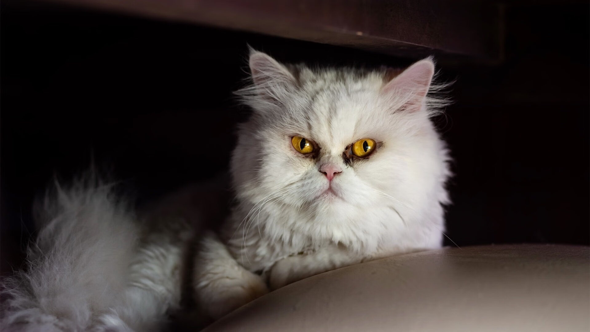 英超球队基于GPS数据优化跑动负荷分配策略，英超 跑动距离