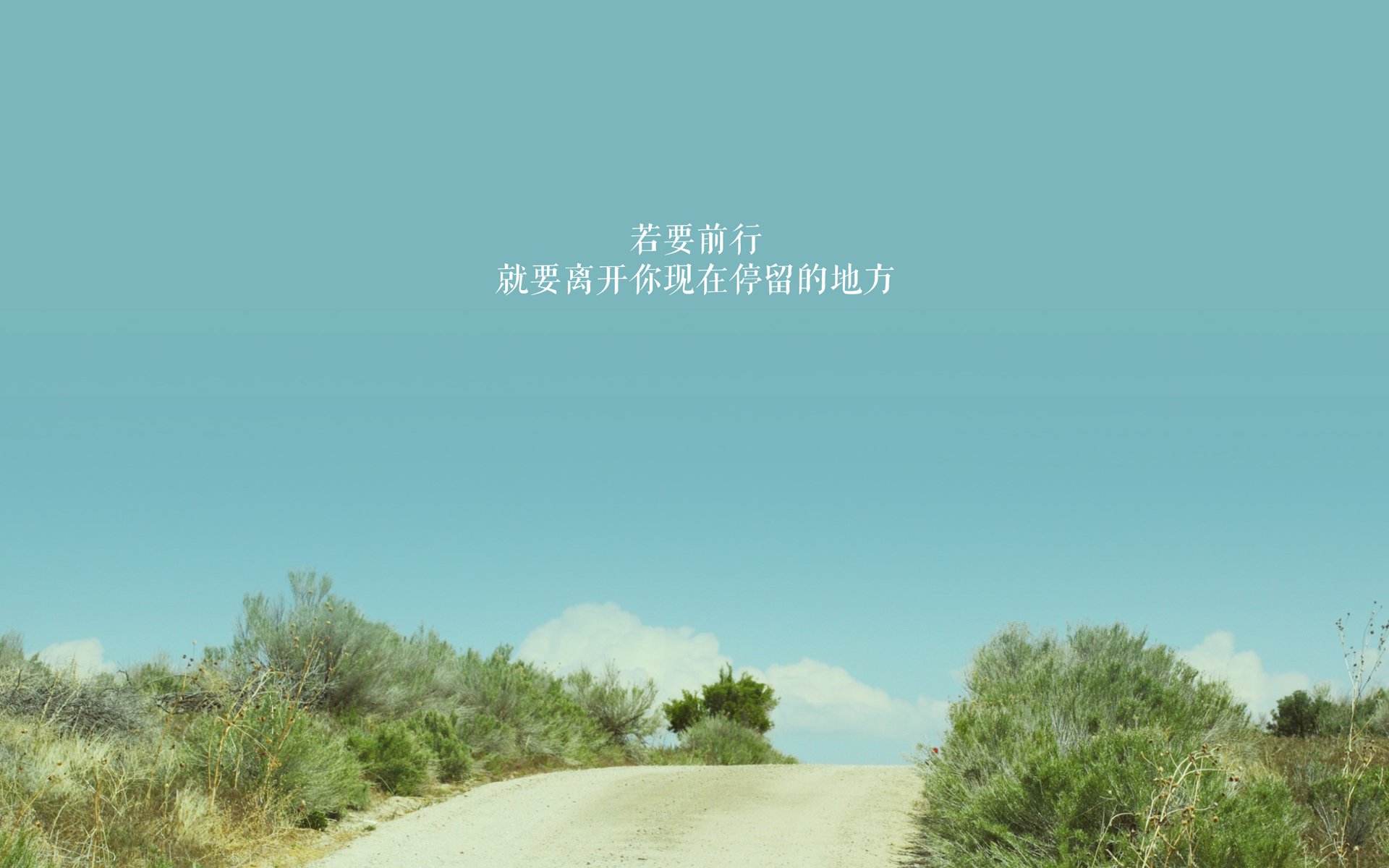 加拿大队的未来：通过科技和创新增强训练与比赛效果，加拿大队徽