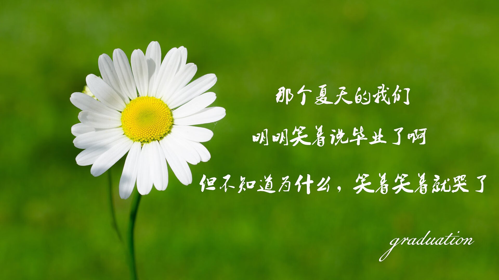 九游网页版官网-青少年赛事注重规则意识和安全教育，青少年赛事活动有哪些