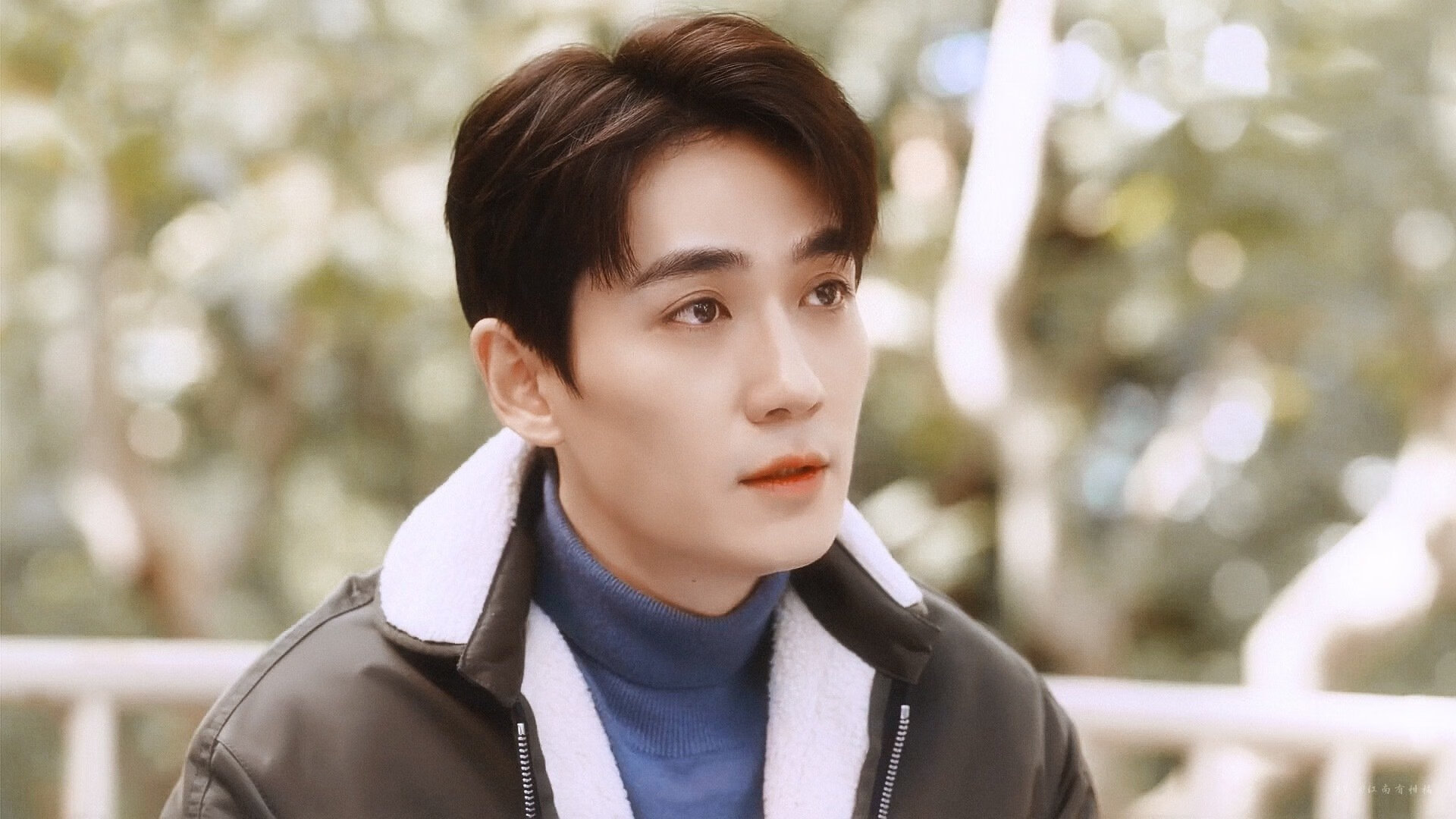 世界杯传奇夜：经典瞬间再现！，世界杯传奇夜_经典瞬间再现在哪里看