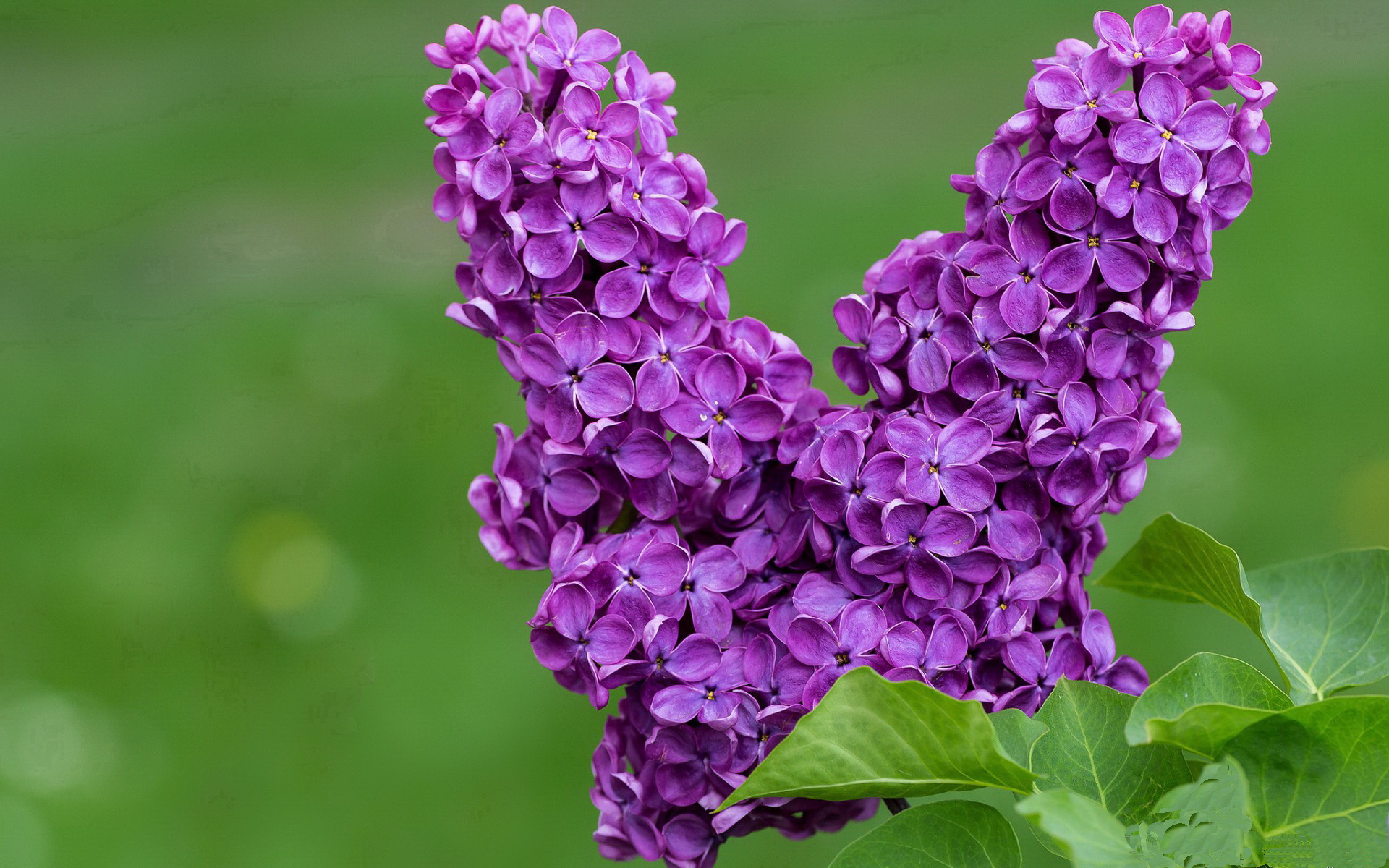 女足梯队逐步建立教练轮换制度提升执教持续性,女足教练竞选