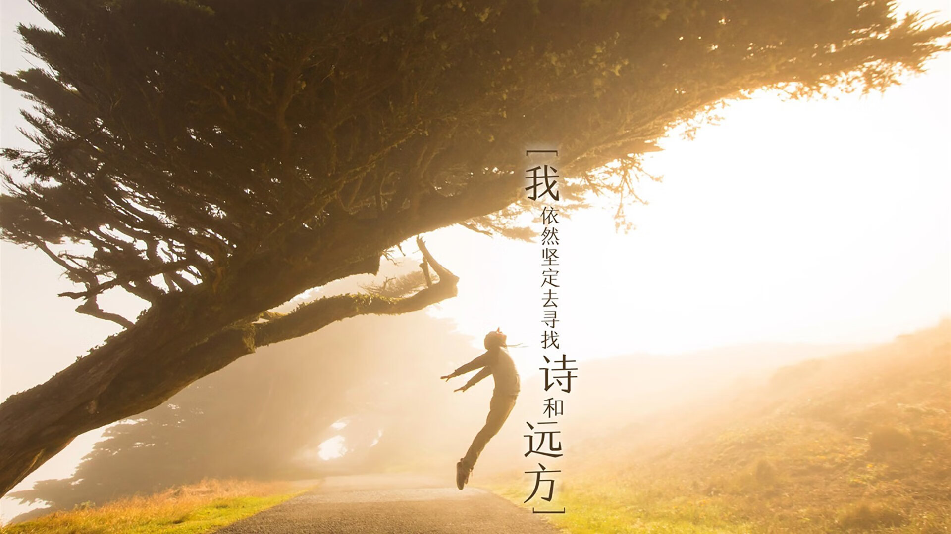 篮球俱乐部换帅风波引发热议，篮球俱乐部成员