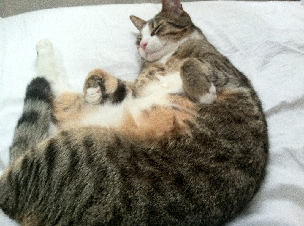 九游网-西班牙青年才俊持续崭露头角，未来可期